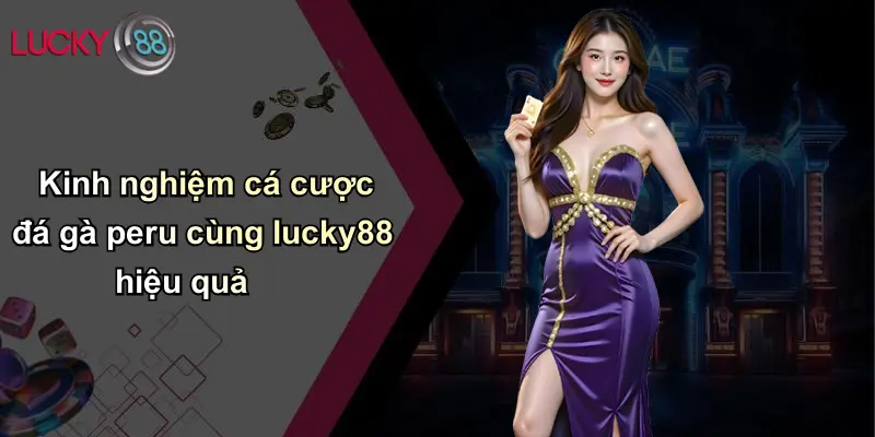 Đá Gà Peru: Đỉnh Cao Đấu Trường Gà Quốc Tế Tại Lucky88 5 Kinh nghiệm cá cược đá gà peru cùng lucky88 hiệu quả