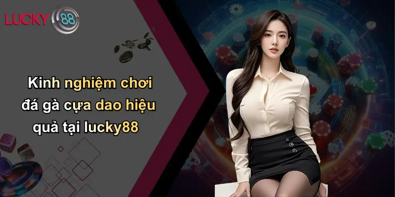 Kinh nghiệm chơi đá gà cựa dao hiệu quả tại lucky88