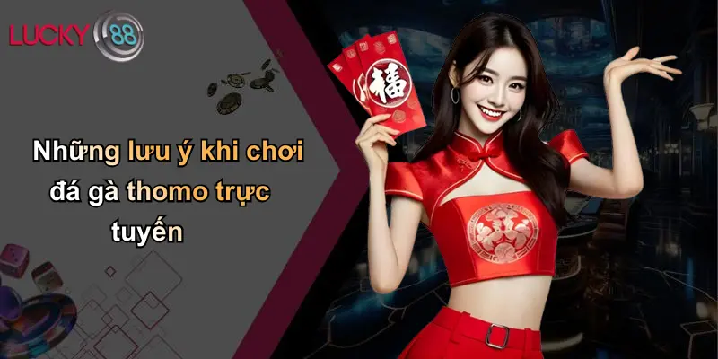Đá Gà Thomo: Thế Giới Thượng Đẳng Và Cảnh Giác Khi Chơi Qua Lucky88 4 Những lưu ý khi chơi đá gà thomo trực tuyến