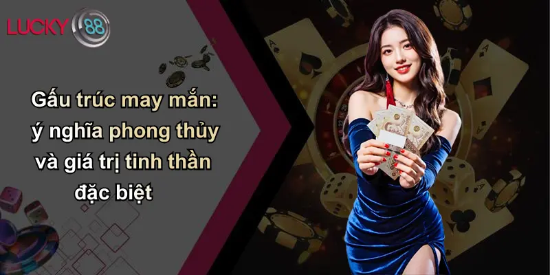 Gấu trúc may mắn: ý nghĩa phong thủy và giá trị tinh thần đặc biệt